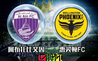 2018世俱杯前瞻 東道主阿布扎比艾因迎戰(zhàn)惠靈頓FC